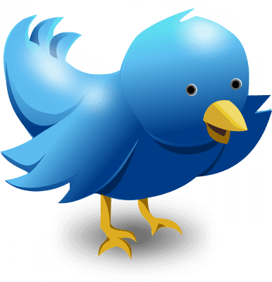 Twitter bird - EWR Digital