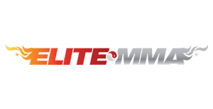 Elite MMA Logo - EWR Digital Portfolio
