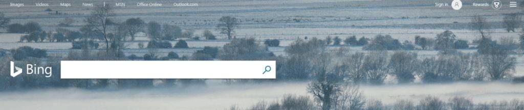 Bing Search bar - EWR Digital